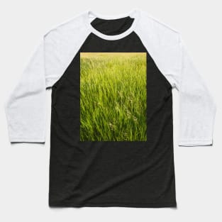 Blooming wild bromus Baseball T-Shirt